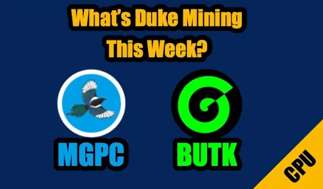 duke-mining-magpie-butk